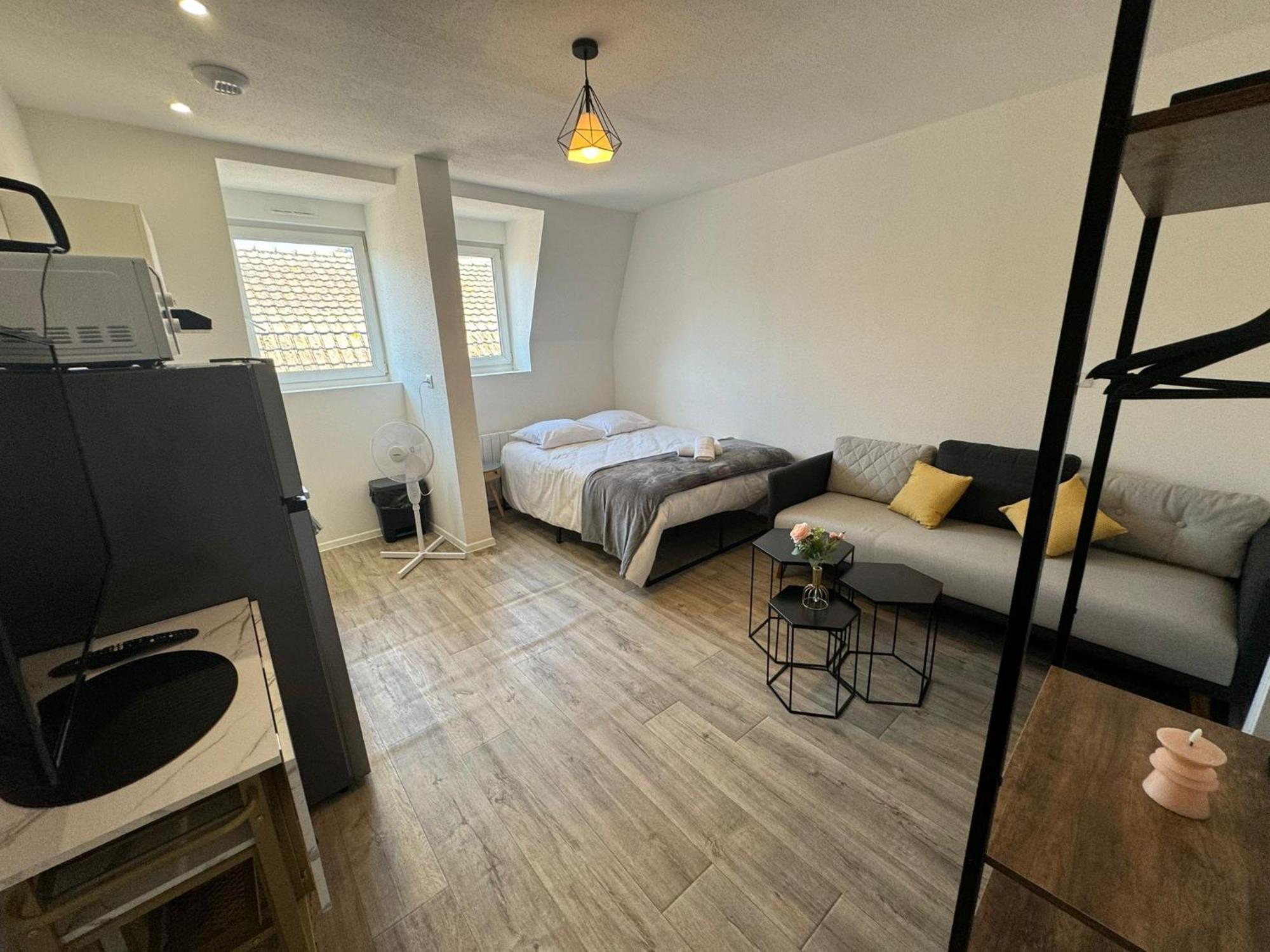 Appartement Cosy Elegant Et Fonctionnel Centre Mulhouse